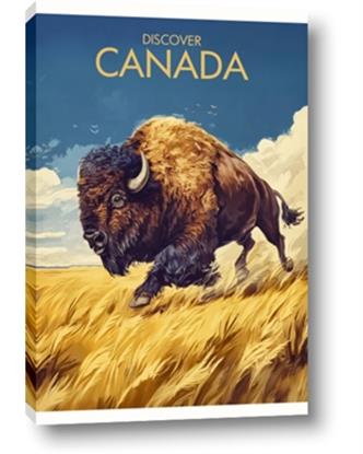 Picture of Field of Giants