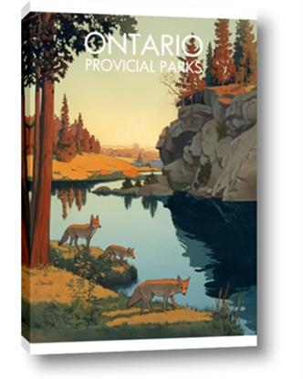 Picture of The Provincial Wild