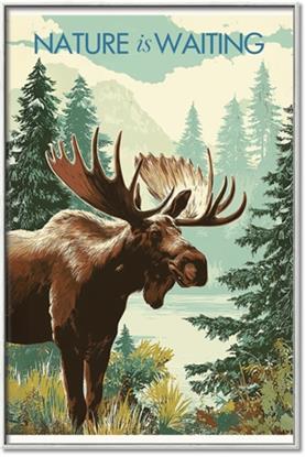 Picture of Nature is Waiting