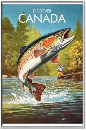 Picture of Canadian Seabass