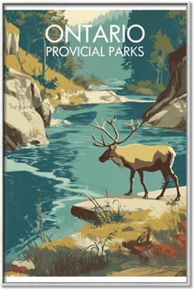 Picture of True North Trails