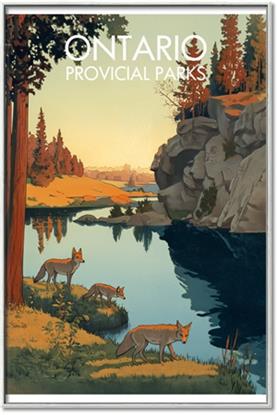 Picture of The Provincial Wild