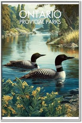 Picture of Still Waters, Wild Shores