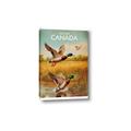 Picture of Canadian Mallard  _GroupedProduct_Rectangle_Portrait_Canvas_