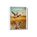 Picture of Canadian Mallard  _GroupedProduct_Rectangle_Portrait_Canvas_