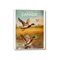 Picture of Canadian Mallard  _GroupedProduct_Rectangle_Portrait_Canvas_
