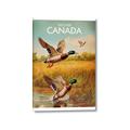 Picture of Canadian Mallard  _GroupedProduct_Rectangle_Portrait_Canvas_