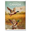 Picture of Canadian Mallard  _GroupedProduct_Rectangle_Portrait_Canvas_