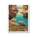 Picture of Wild Ontario _GroupedProduct_Rectangle_Portrait_Canvas_