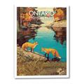 Picture of Wild Ontario _GroupedProduct_Rectangle_Portrait_Canvas_