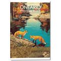 Picture of Wild Ontario _GroupedProduct_Rectangle_Portrait_Canvas_