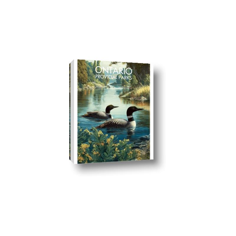 Picture of Still Waters, Wild Shores _GroupedProduct_Rectangle_Portrait_Canvas_