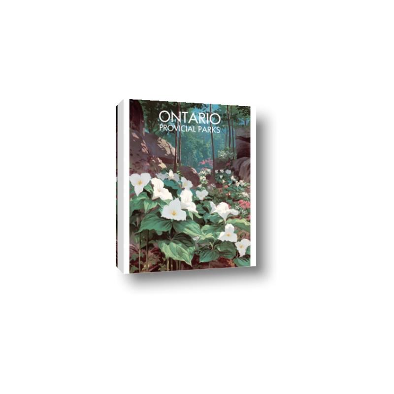 Picture of White Trillium _GroupedProduct_Rectangle_Portrait_Canvas_