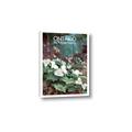 Picture of White Trillium _GroupedProduct_Rectangle_Portrait_Canvas_