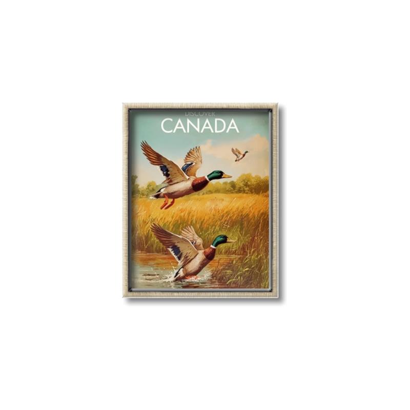 Picture of Canadian Mallard  _GroupedProduct_Rectangle_Portrait_Canvas_Framed_
