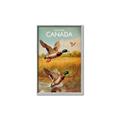 Picture of Canadian Mallard  _GroupedProduct_Rectangle_Portrait_Canvas_Framed_