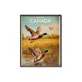 Picture of Canadian Mallard  _GroupedProduct_Rectangle_Portrait_Canvas_Framed_