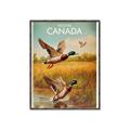 Picture of Canadian Mallard  _GroupedProduct_Rectangle_Portrait_Canvas_Framed_