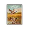 Picture of Canadian Mallard  _GroupedProduct_Rectangle_Portrait_Canvas_Framed_