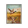 Picture of Canadian Mallard  _GroupedProduct_Rectangle_Portrait_Canvas_Framed_
