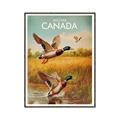 Picture of Canadian Mallard  _GroupedProduct_Rectangle_Portrait_Canvas_Framed_
