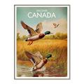 Picture of Canadian Mallard  _GroupedProduct_Rectangle_Portrait_Canvas_Framed_