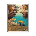 Picture of Wild Ontario _GroupedProduct_Rectangle_Portrait_Canvas_Framed_