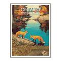 Picture of Wild Ontario _GroupedProduct_Rectangle_Portrait_Canvas_Framed_