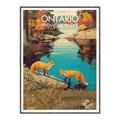 Picture of Wild Ontario _GroupedProduct_Rectangle_Portrait_Canvas_Framed_