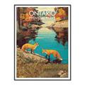 Picture of Wild Ontario _GroupedProduct_Rectangle_Portrait_Canvas_Framed_