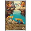 Picture of Wild Ontario _GroupedProduct_Rectangle_Portrait_Canvas_Framed_