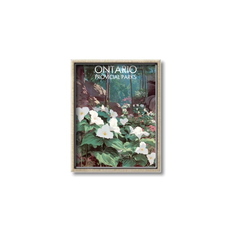 Picture of White Trillium _GroupedProduct_Rectangle_Portrait_Canvas_Framed_