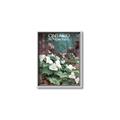 Picture of White Trillium _GroupedProduct_Rectangle_Portrait_Canvas_Framed_