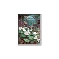 Picture of White Trillium _GroupedProduct_Rectangle_Portrait_Canvas_Framed_