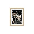 Picture of Bubbles in Motion II _GroupedProduct_Rectangle_Portrait_Photography _GroupedProduct_Rectangle_Portrait_Framed_Matted_