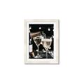 Picture of Bubbles in Motion II _GroupedProduct_Rectangle_Portrait_Photography _GroupedProduct_Rectangle_Portrait_Framed_Matted_