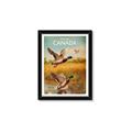 Picture of Canadian Mallard  _GroupedProduct_Rectangle_Portrait_Framed_Matted_