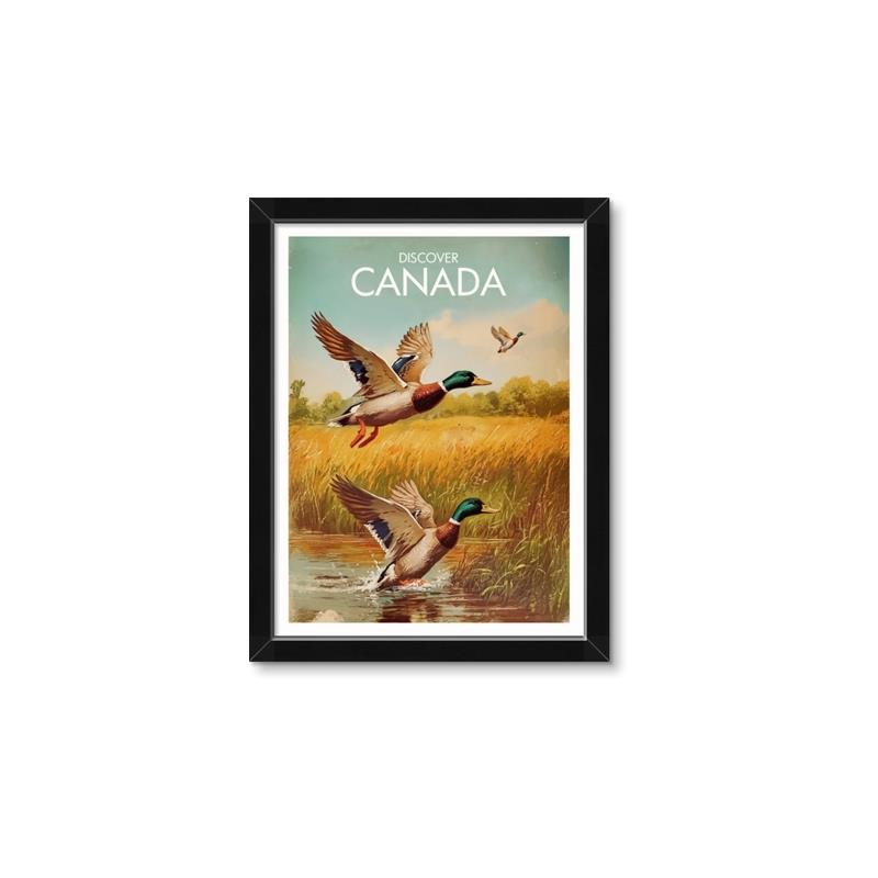 Picture of Canadian Mallard  _GroupedProduct_Rectangle_Portrait_Framed_Matted_