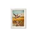 Picture of Canadian Mallard  _GroupedProduct_Rectangle_Portrait_Framed_Matted_