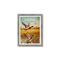 Picture of Canadian Mallard  _GroupedProduct_Rectangle_Portrait_Framed_Matted_