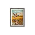 Picture of Canadian Mallard  _GroupedProduct_Rectangle_Portrait_Framed_Matted_
