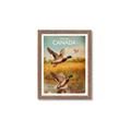 Picture of Canadian Mallard  _GroupedProduct_Rectangle_Portrait_Framed_Matted_