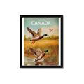 Picture of Canadian Mallard  _GroupedProduct_Rectangle_Portrait_Framed_Matted_