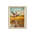 Picture of Canadian Mallard  _GroupedProduct_Rectangle_Portrait_Framed_Matted_