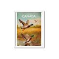 Picture of Canadian Mallard  _GroupedProduct_Rectangle_Portrait_Framed_Matted_