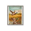 Picture of Canadian Mallard  _GroupedProduct_Rectangle_Portrait_Framed_Matted_