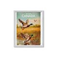 Picture of Canadian Mallard  _GroupedProduct_Rectangle_Portrait_Framed_Matted_