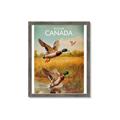 Picture of Canadian Mallard  _GroupedProduct_Rectangle_Portrait_Framed_Matted_