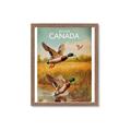 Picture of Canadian Mallard  _GroupedProduct_Rectangle_Portrait_Framed_Matted_
