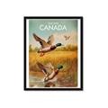 Picture of Canadian Mallard  _GroupedProduct_Rectangle_Portrait_Framed_Matted_